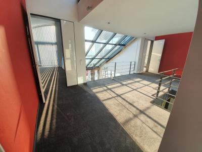 Teppich verlegen - Affalterbach / Ludwigsburg